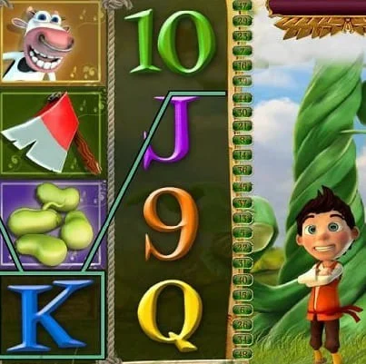 Portfolio Image